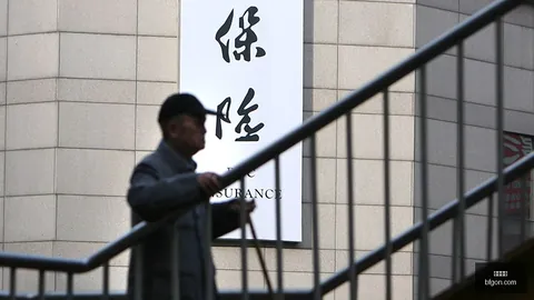 荣耀电竞新机发布，定制游戏体验升级